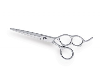 Professional Hair Cutting Scissors 